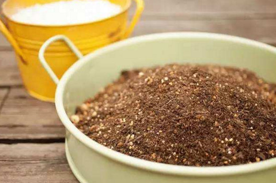 石榴花盆景如何扦插，扦插生根只需五步(附养护技巧)