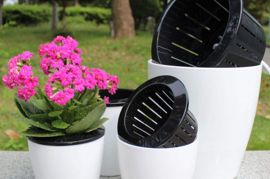 懒人花盆如何用