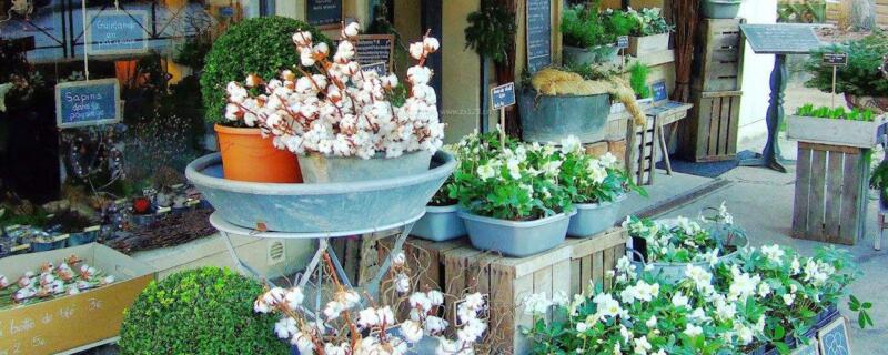 花店一年大约赚多少钱，可有16～28万纯利润