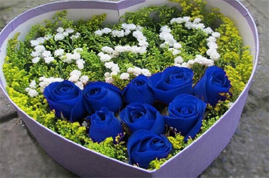 圣诞节送女孩子多少朵花比较好,9朵寓意爱情长久