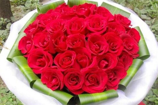 圣诞节送女孩子多少朵花比较好,9朵寓意爱情长久