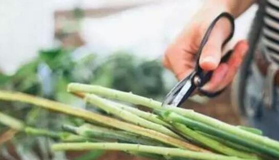 9朵花制作手捧花的步骤,5步教你制成美丽的新娘手捧花