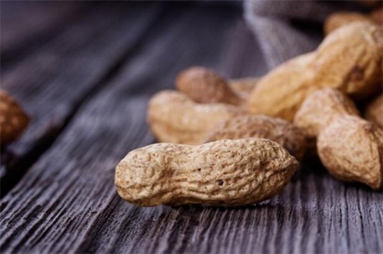 花生的生长过程记录,从播种到成株的养护办法