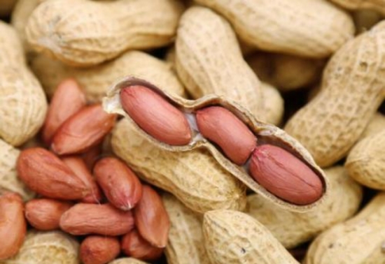 花生的做法，推荐十款花生的美味做法