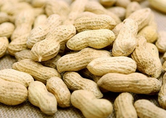 花生什么时候种植：春季,勿弄错季节