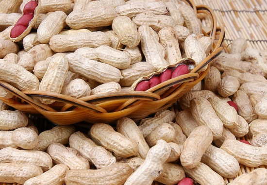 花生种子 花生种子:不要购买染色、开裂、发芽、霉变的花生