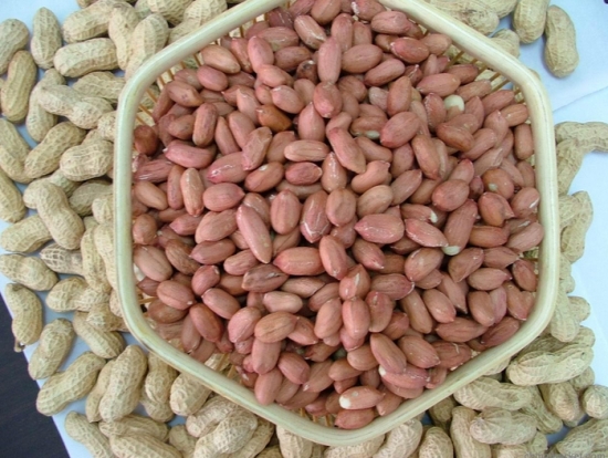 花生米 水煮花生的做法:手把手教你做水煮花生