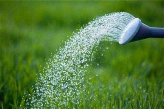 樱花如何养才能长的好