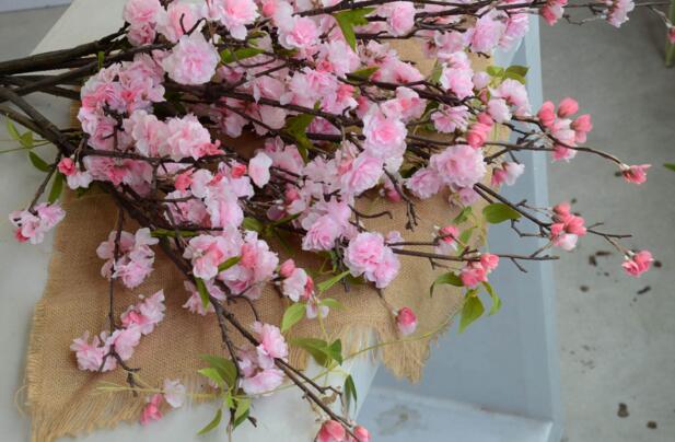 樱花折下来后如何养，可扦插嫁接不能养在水里