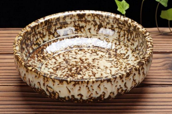 姜花如何水养，生根水浸泡高温环境养殖