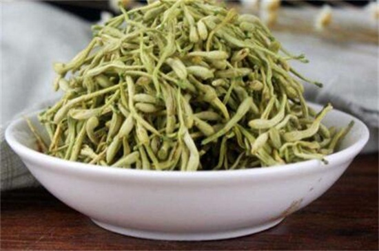 冬季喝金银花好吗，可降火解毒还能抗菌消炎