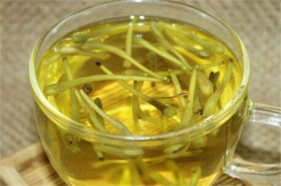 冬季喝金银花好吗，可降火解毒还能抗菌消炎