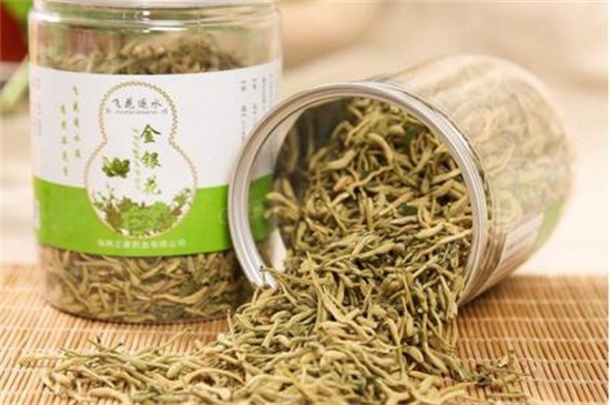 冬季喝金银花好吗，可降火解毒还能抗菌消炎