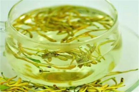 金银花泡水喝的九大禁忌,经期禁食和不可隔夜饮用