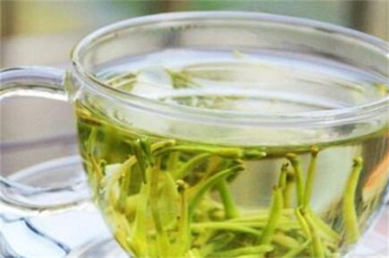 金银花泡水喝的九大禁忌,经期禁食和不可隔夜饮用