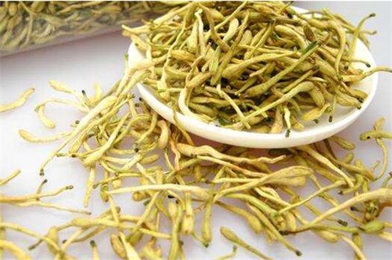 二花是什么花,金银花可以清热解毒