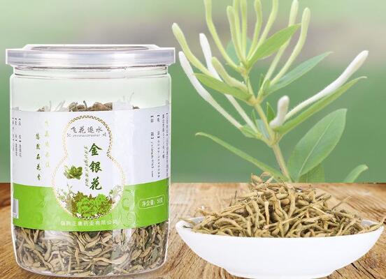 金银花苗多少钱一株,普通0.3~1元一株/高质量3~5元一株