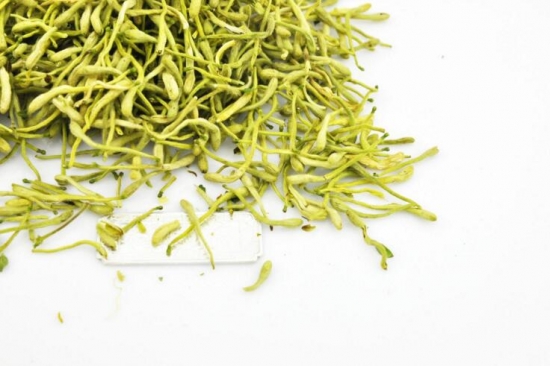 金银花的功效与禁忌，金银花图片