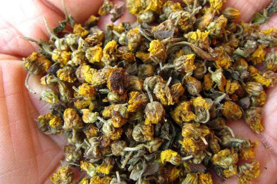 野菊花如何晒干