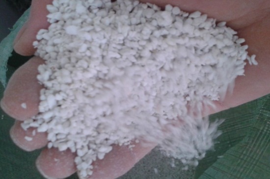 姬小菊如何扦插，4个步骤扦插姬小菊