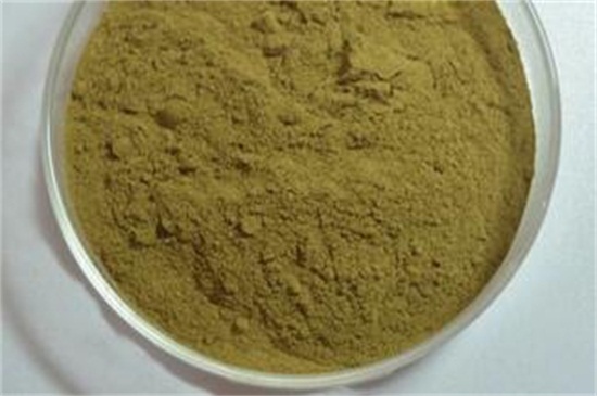 菊花粉的功效与作用及禁忌，可美容养颜但孕妇禁食