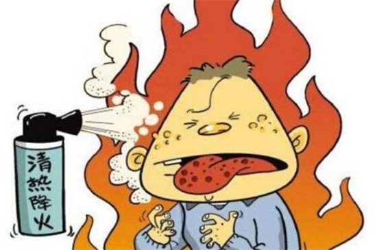 菊花有哪些种类，从花期/用颜色以及花茎长短细分菊花