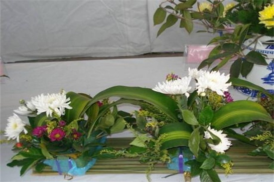 盆栽菊花如何浇水，盆栽菊花一年四季浇水办法