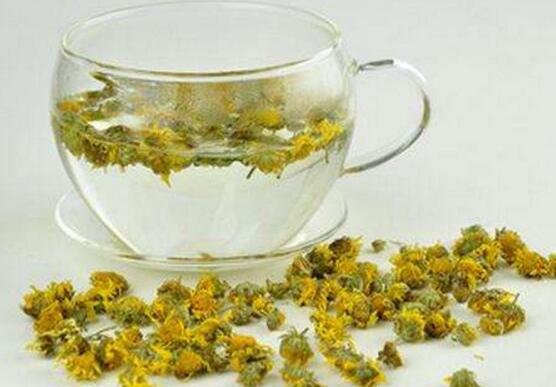 野生菊花可以泡水喝吗,野生菊花泡水益处多多(4种)