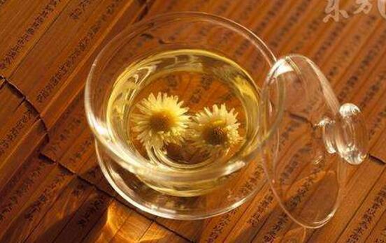 野生菊花可以泡水喝吗,野生菊花泡水益处多多(4种)