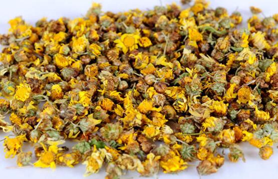 野生菊花可以泡水喝吗,野生菊花泡水益处多多(4种)