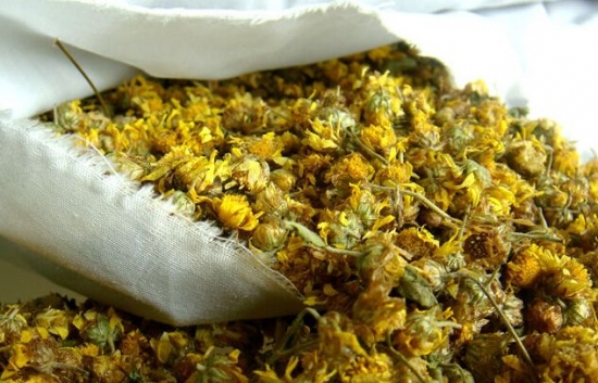 菊花是什么：菊科、菊属多年生宿根草本植物，中国十大名花之一