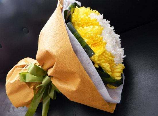 菊花是什么：菊科、菊属多年生宿根草本植物，中国十大名花之一