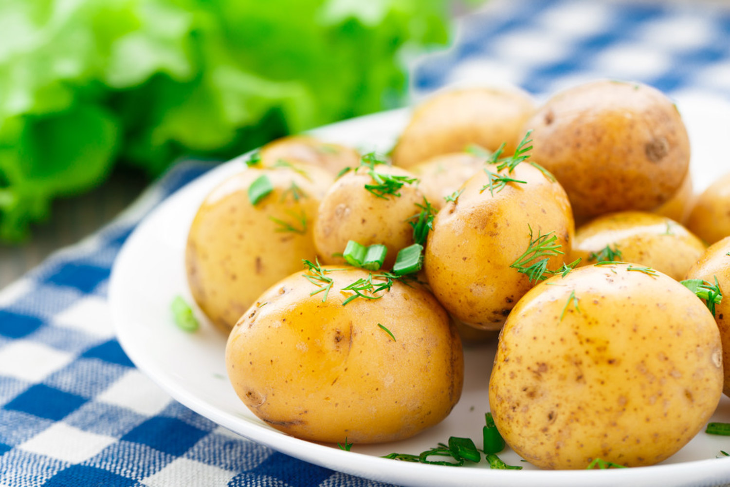马铃薯是土豆还是红薯，两者的特征