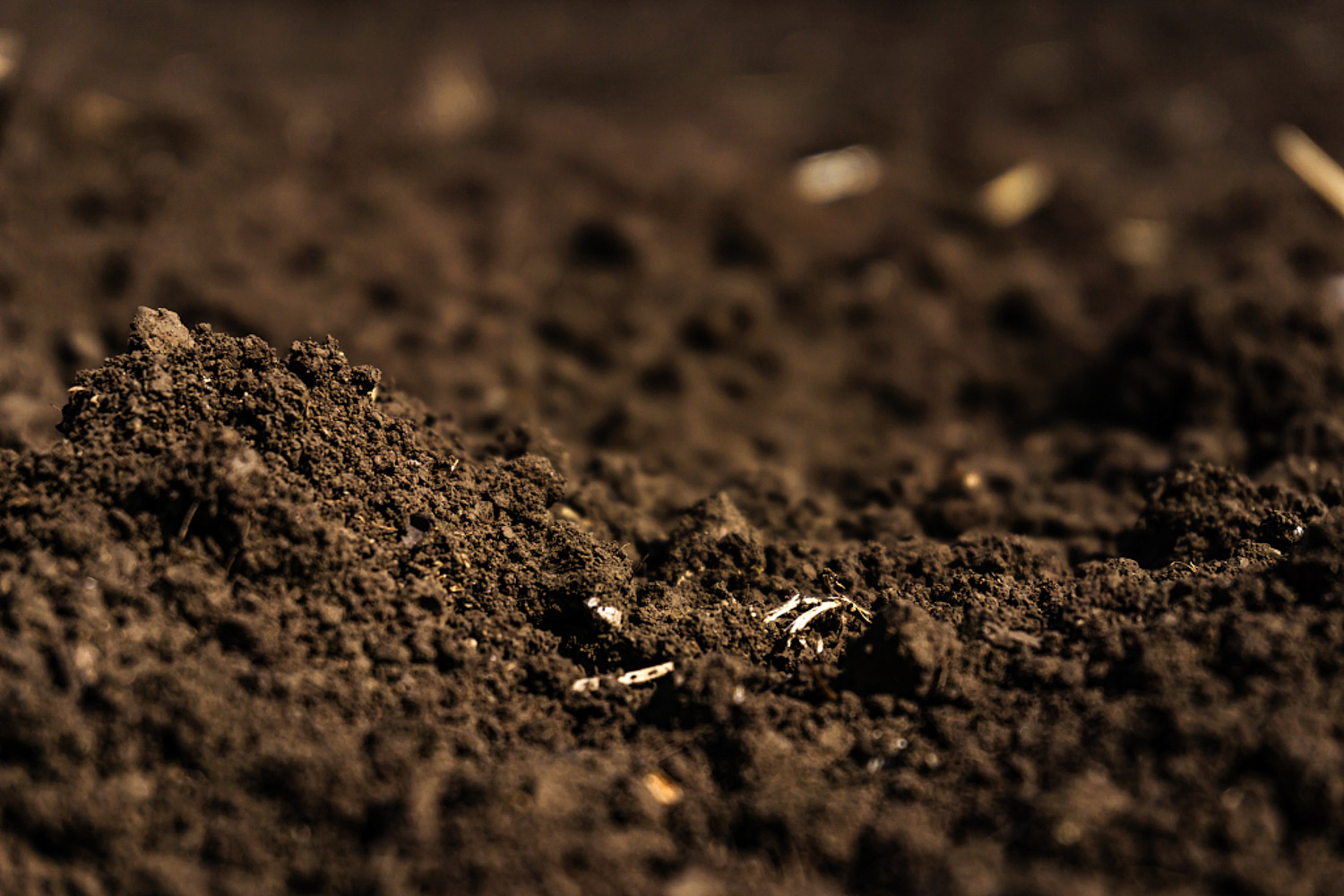 泥炭土是什么土，有什么优缺点