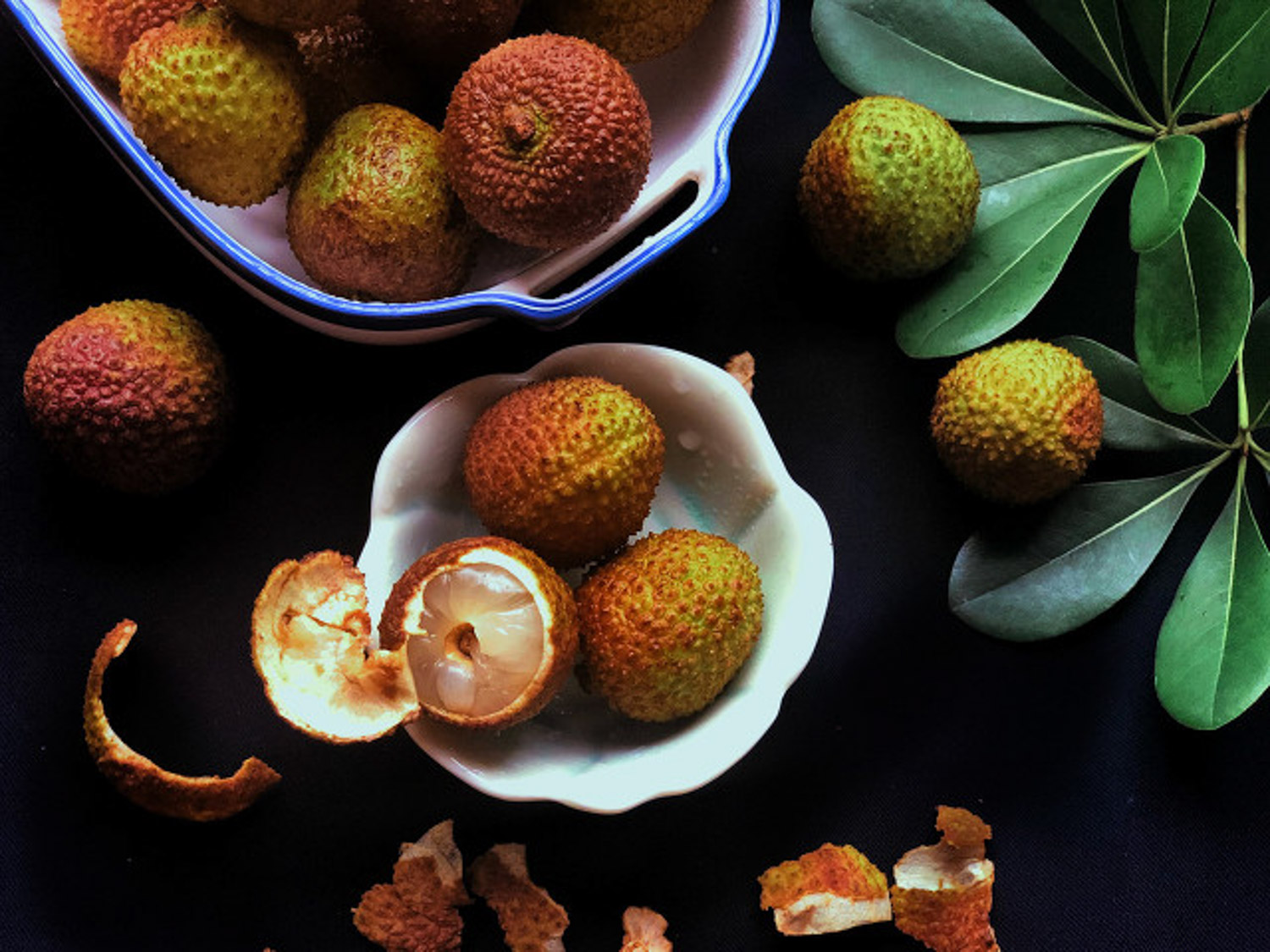 荔枝 荔枝树苗种植办法,荔枝树图片