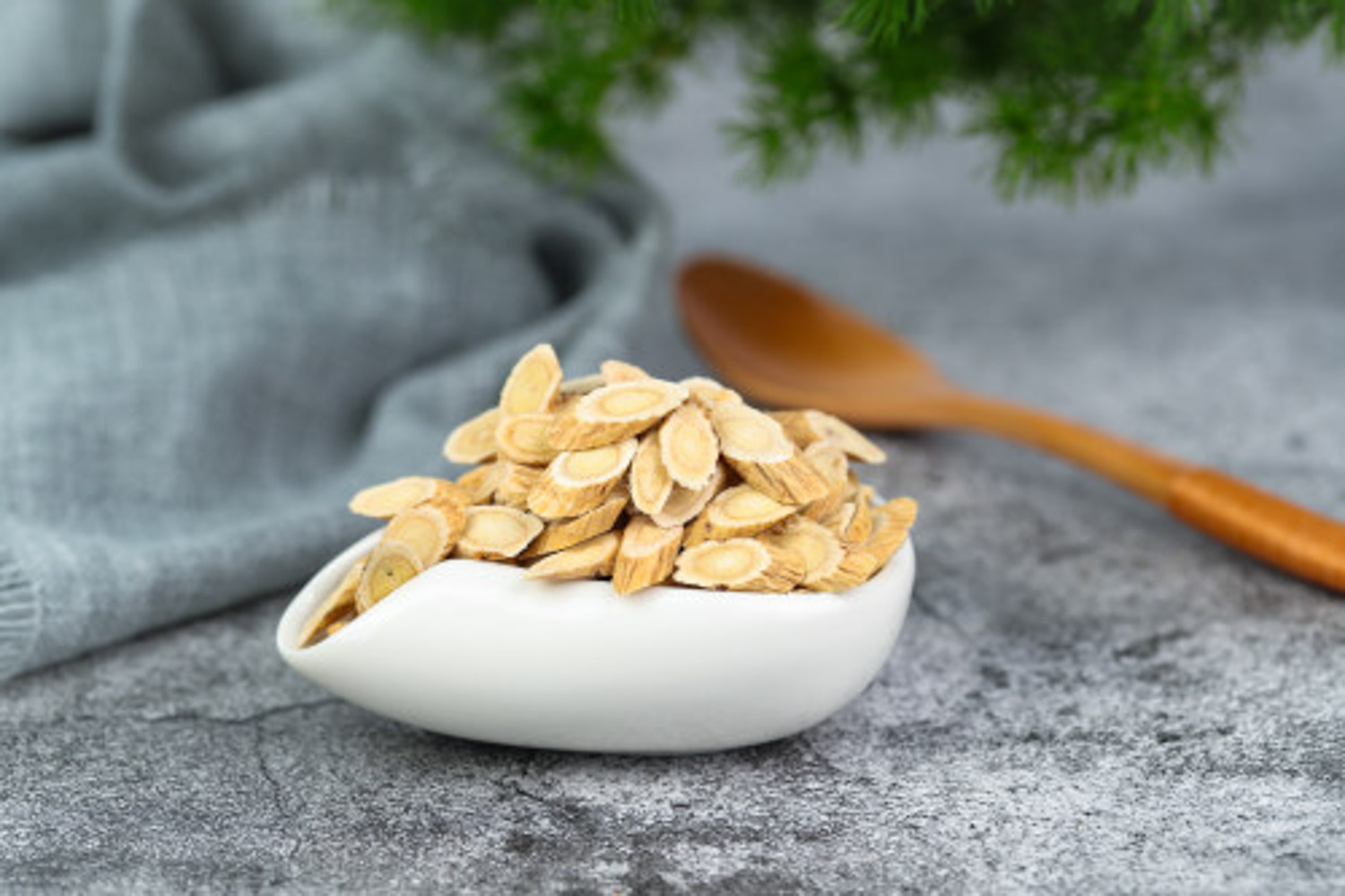 黄芪的功效和作用，黄芪的图片