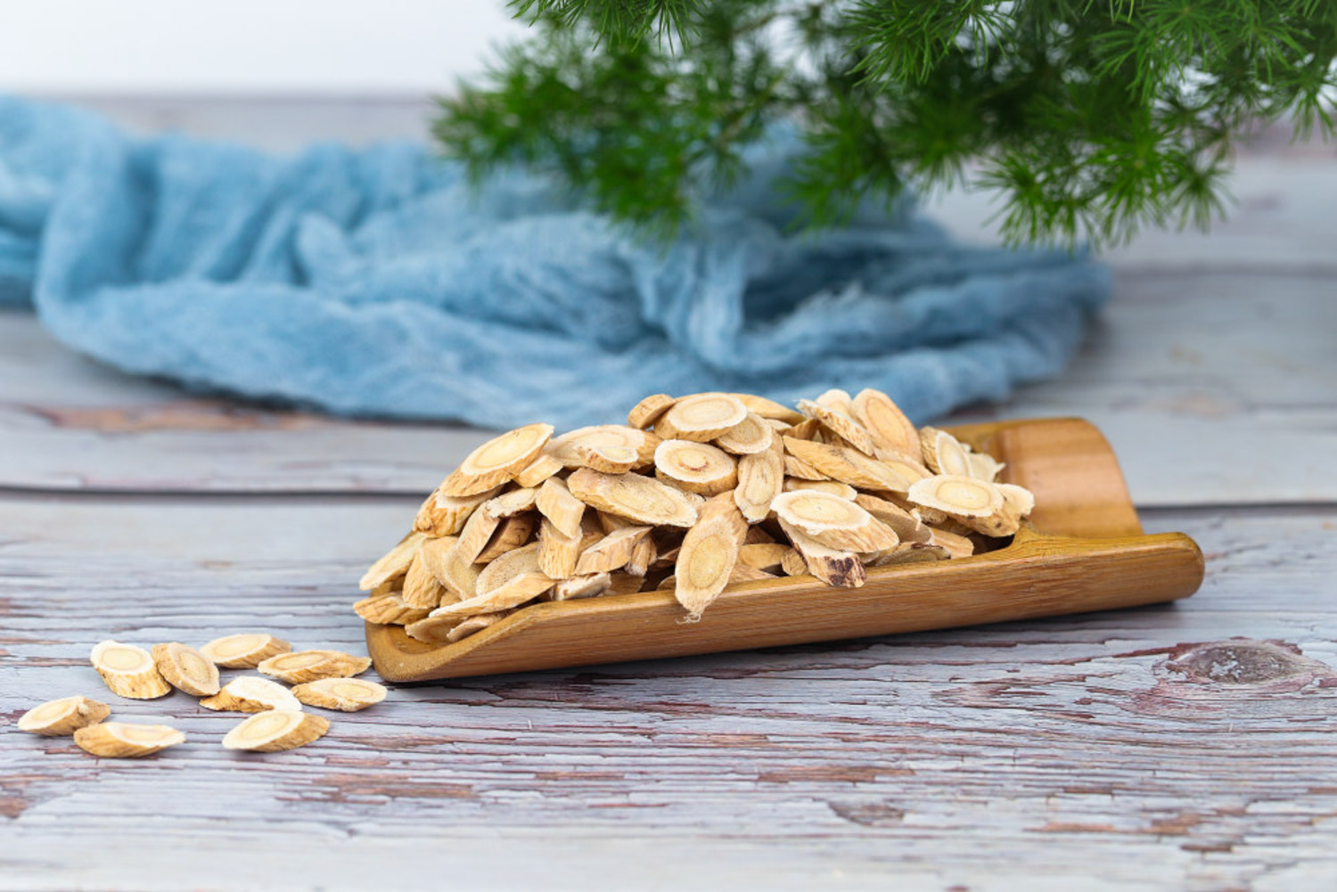 黄芪是什么，黄芪图片