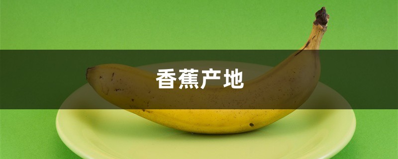 香蕉产地，香蕉种类大全