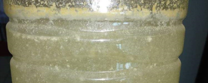 淘米水浇花好吗，浇花的正确办法