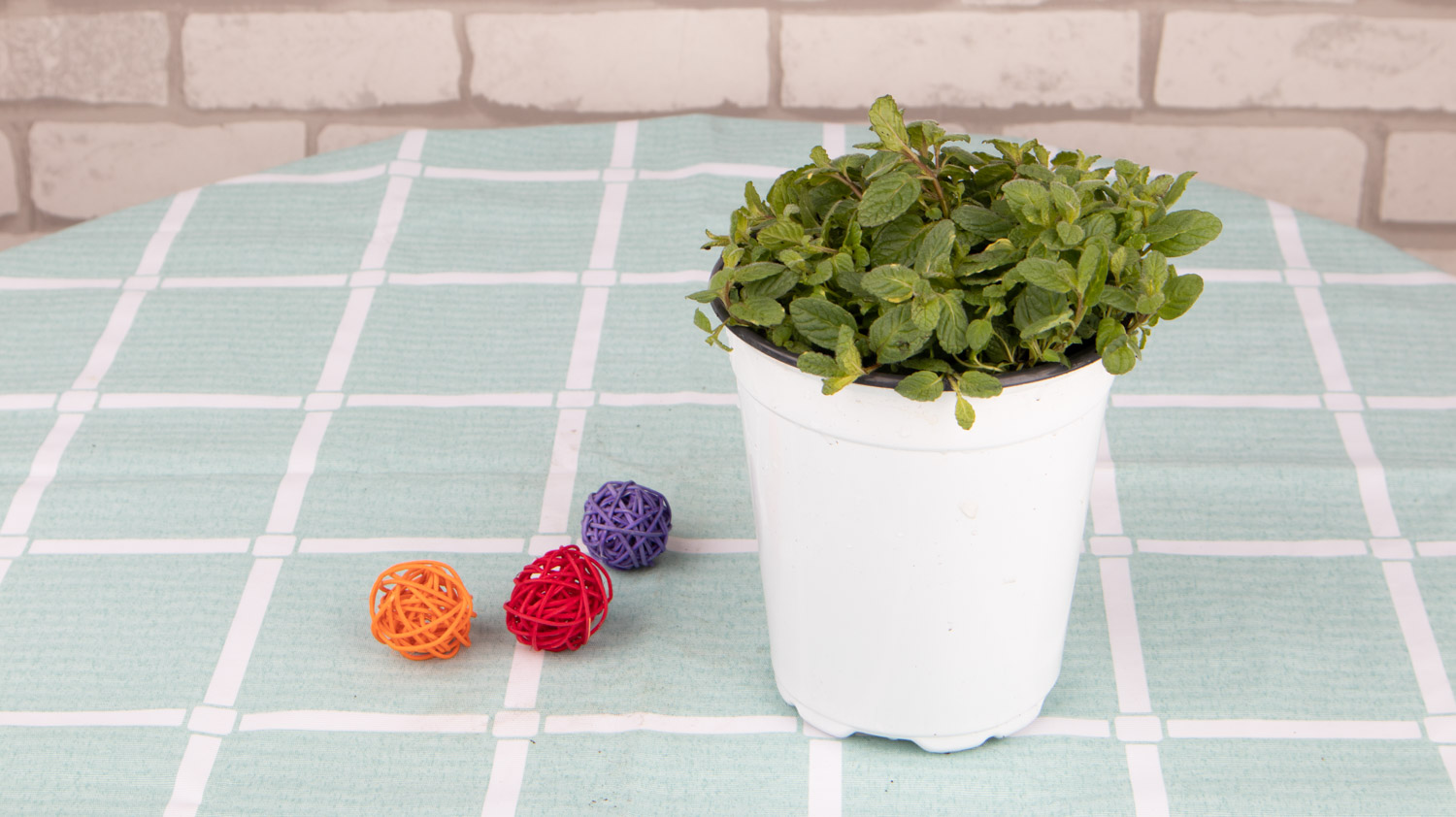 薄荷施什么肥，薄荷施肥时的两大留意