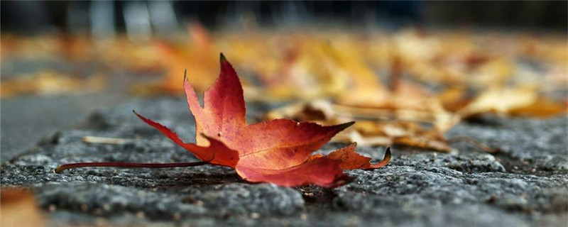 冬季植物的变化，秋季植物的变化