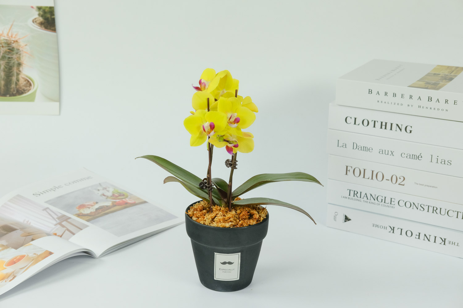 蝴蝶兰叶片发黄如何办，如何回事