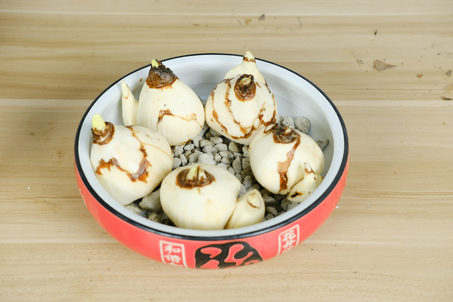 水仙花叶黄如何回事，叶黄如何处理