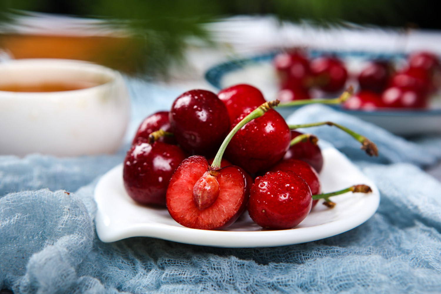 樱桃黄叶的原因和处理办法