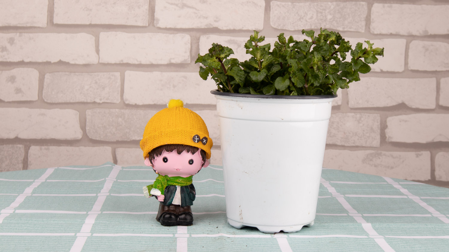 薄荷黄叶的原因和处理办法