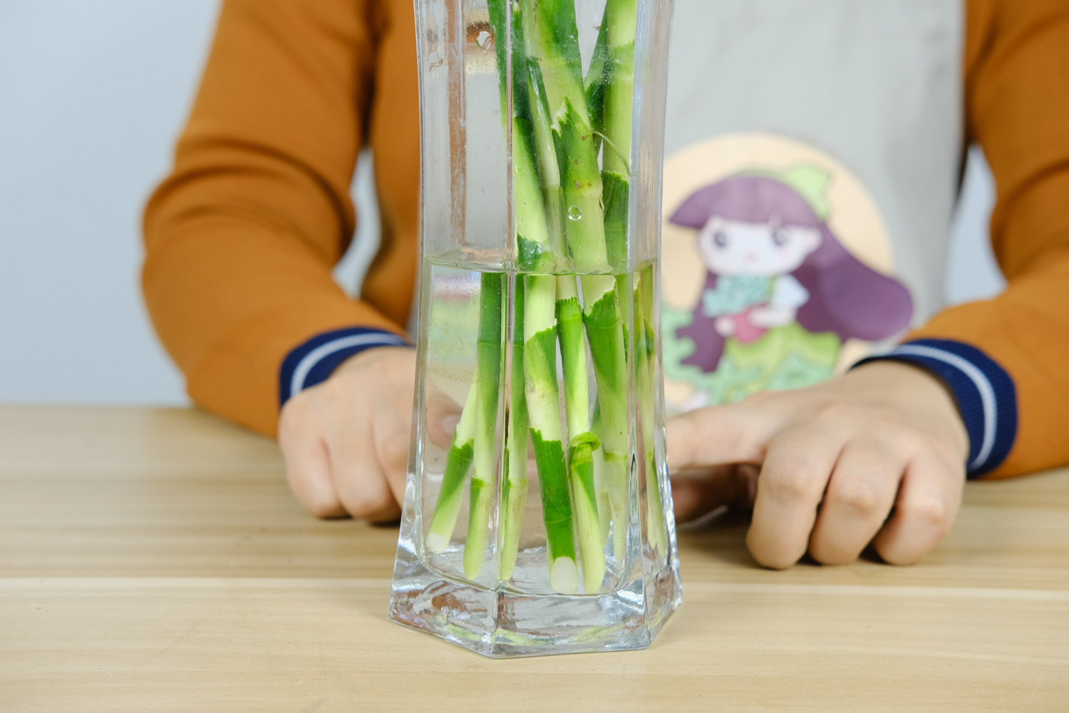 富贵竹 富贵竹叶子黄了还能绿吗