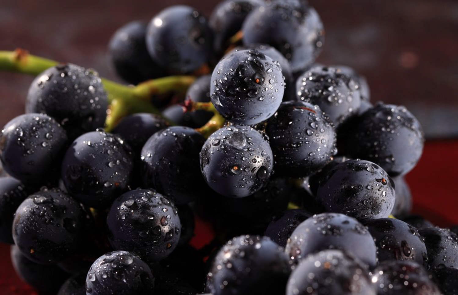 葡萄叶子发黄如何办