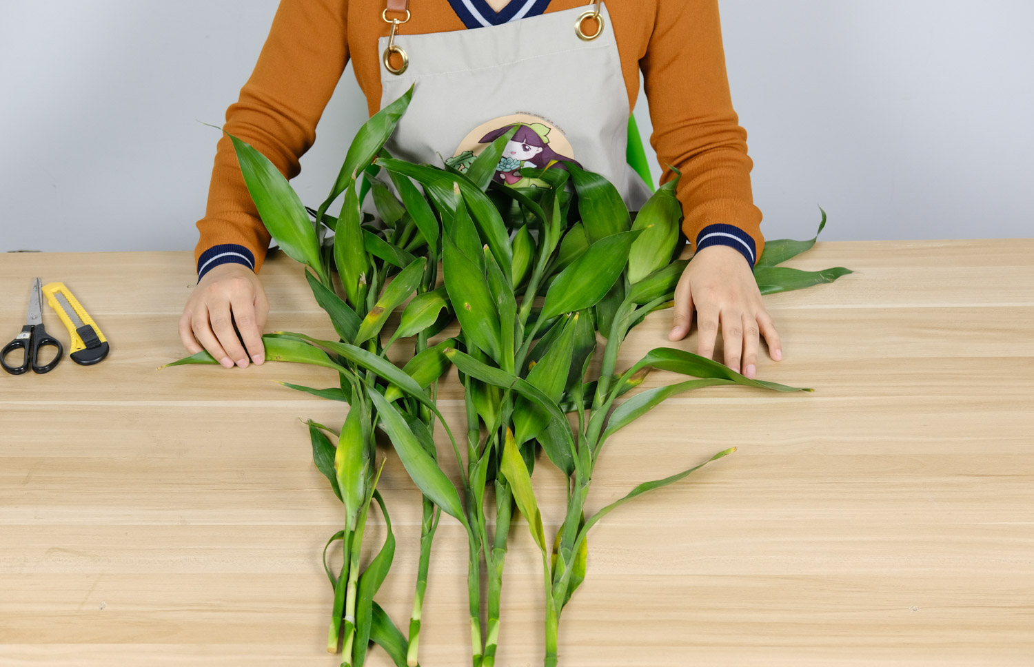 富贵竹黄叶子需剥掉吗，杆发黄如何急救