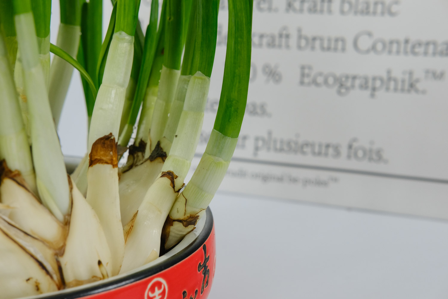 水仙叶子发黄如何办