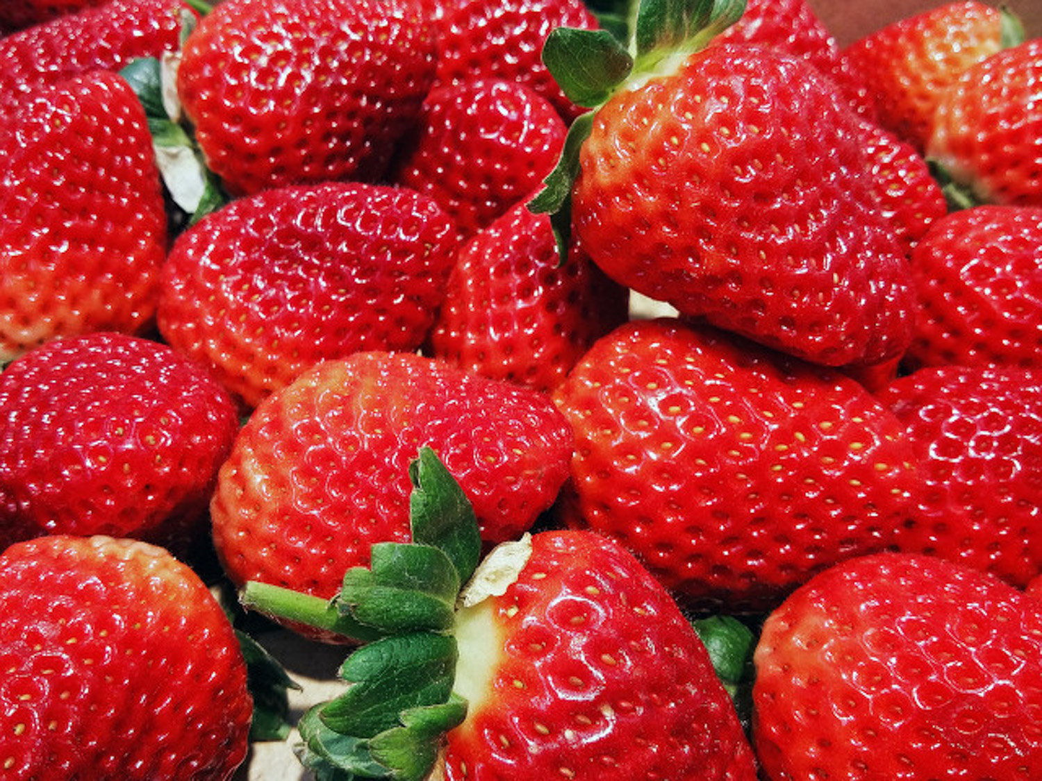 草莓叶子发黄如何办